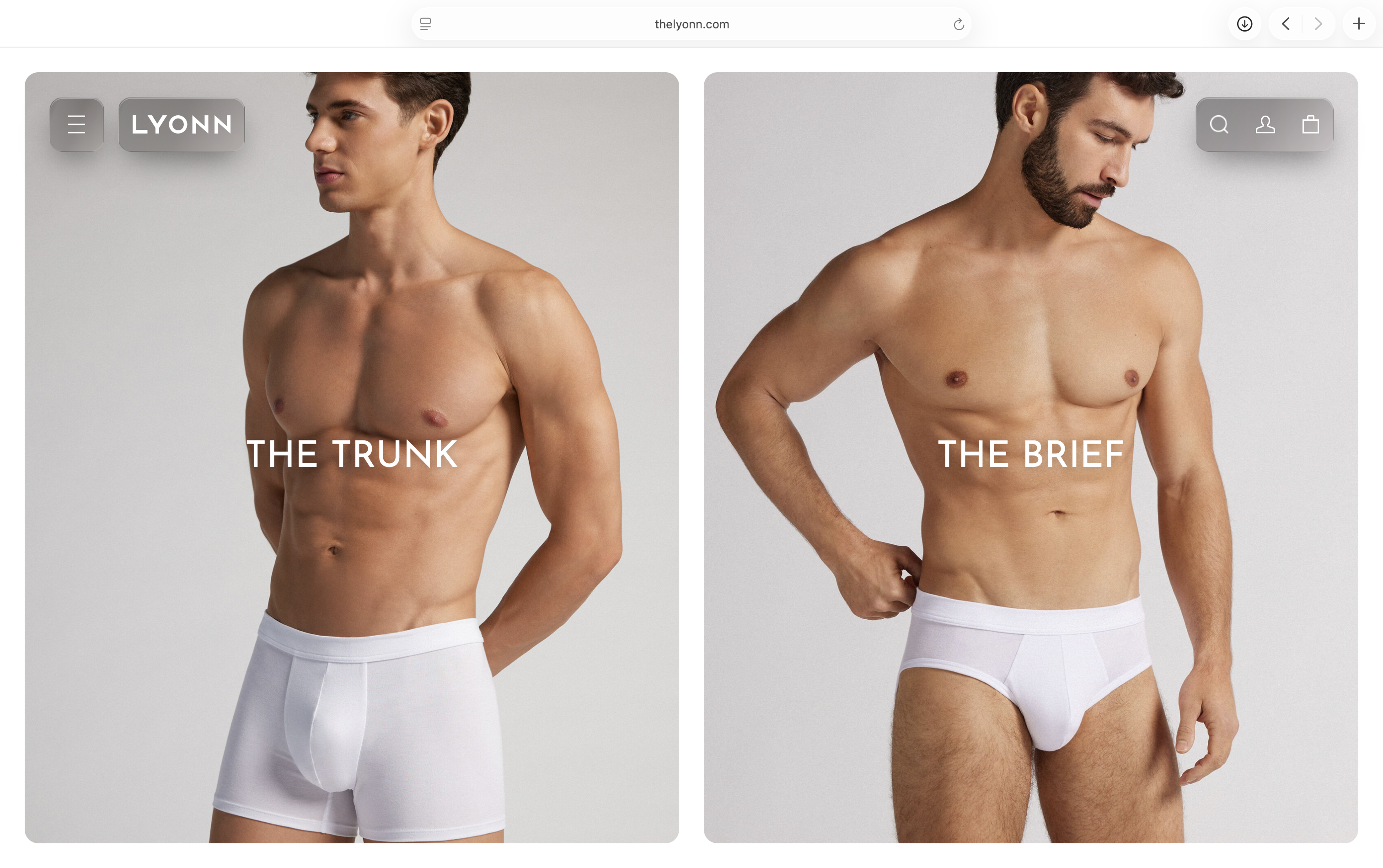 Lyonn Product Banner