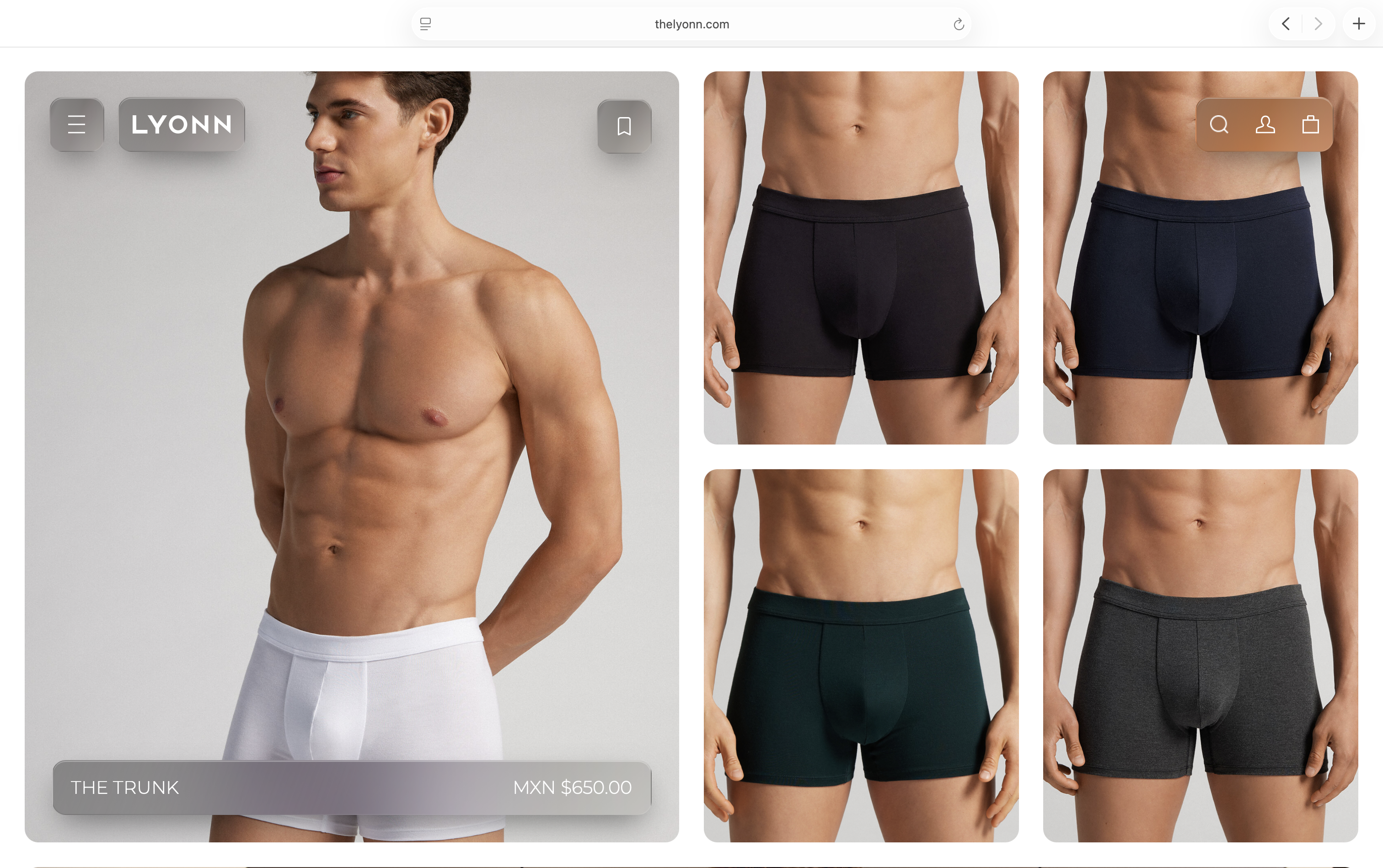 Lyonn Catalogue Product